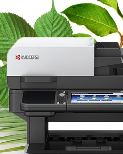 Protección del medio ambiente